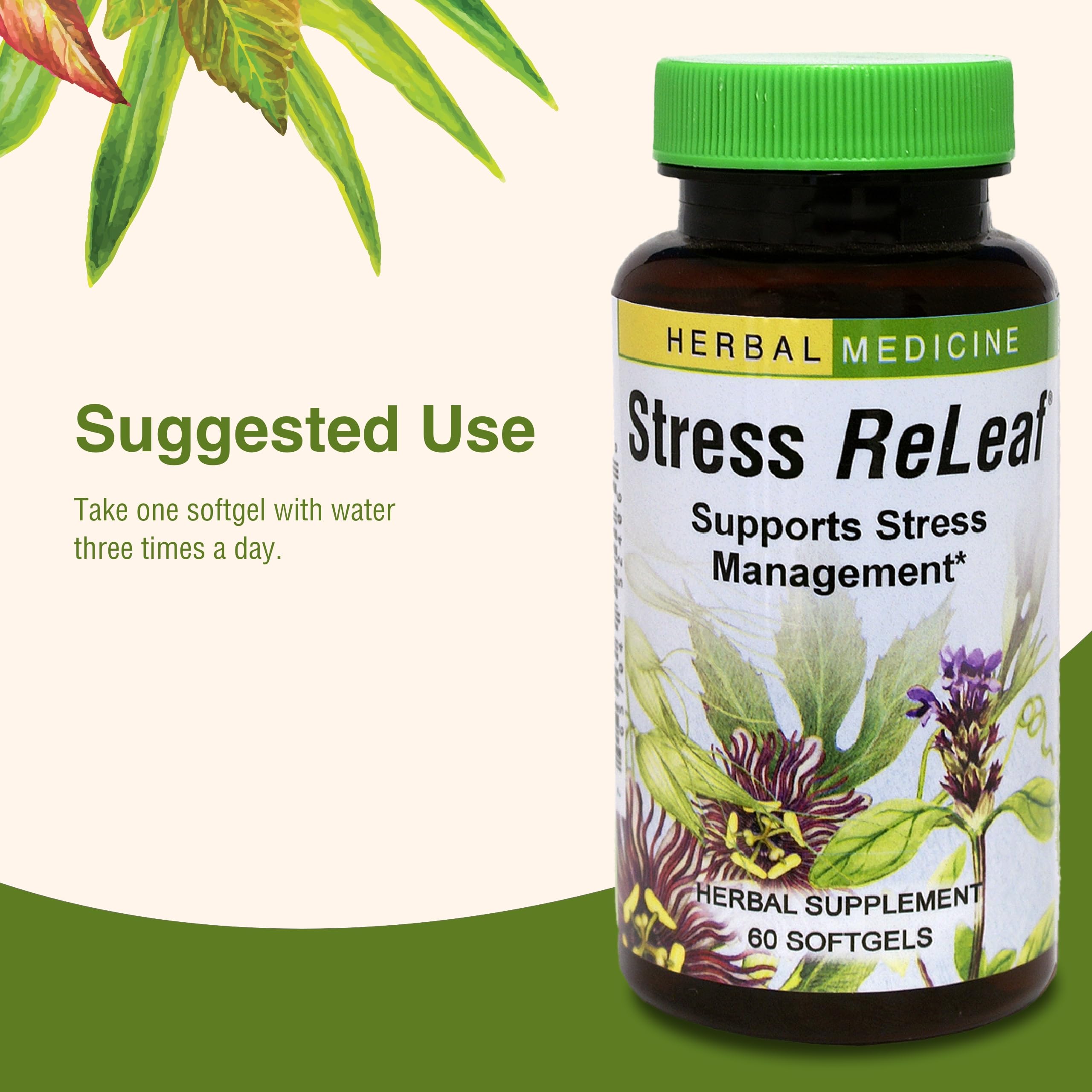 Packaging closeup highlighting gluten-free formulation and quality.