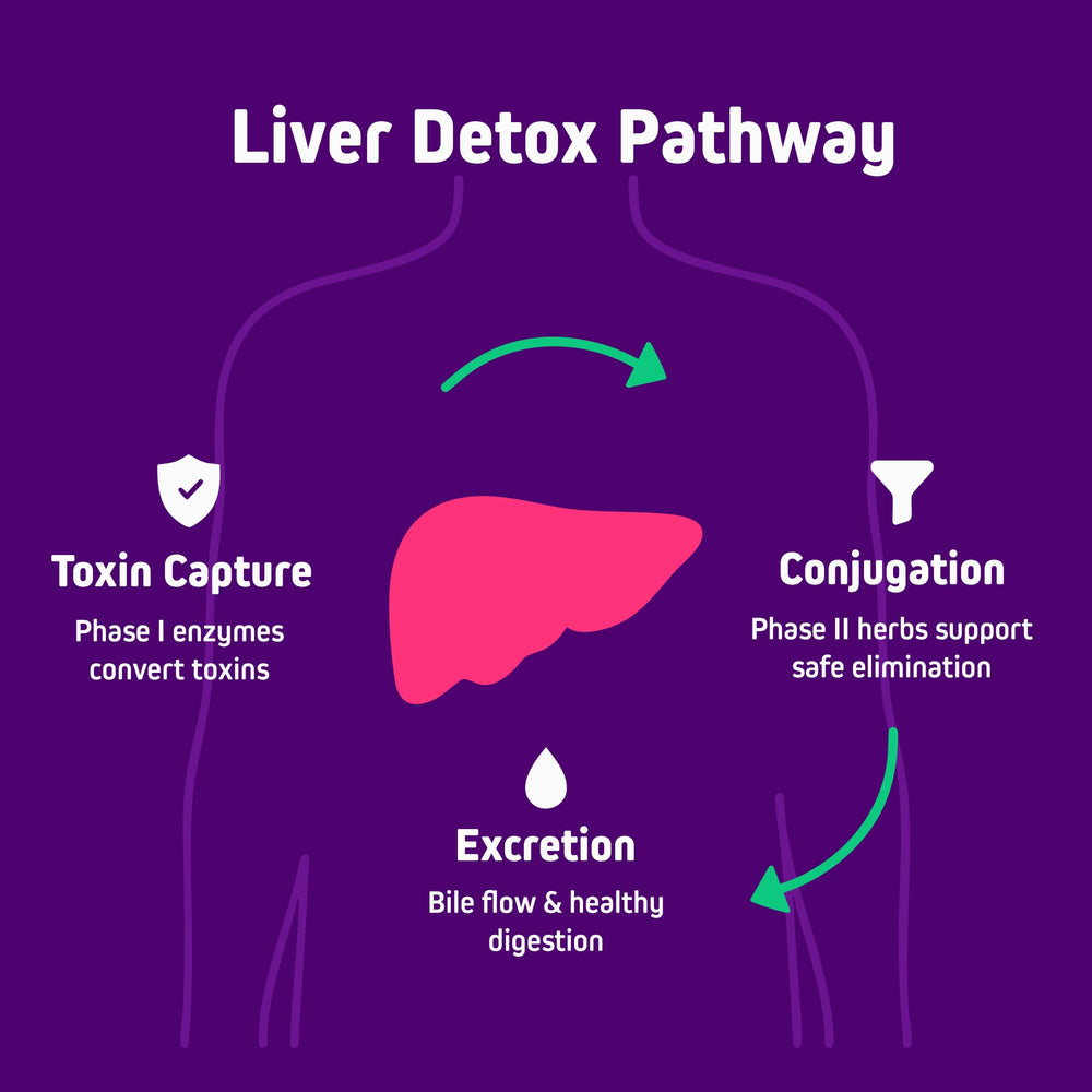 Herbtonics 20-in-1 liver blend label showcases comprehensive ingredients.