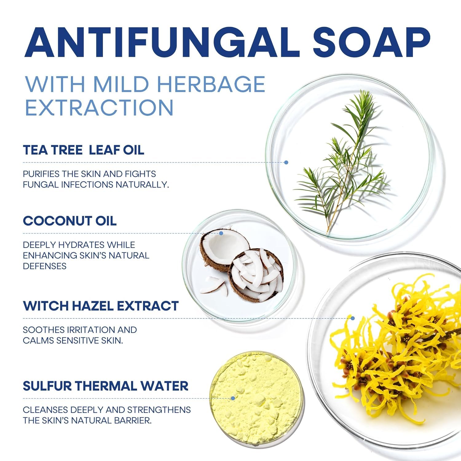 Hermon tea tree antifungal soap lathering in hand