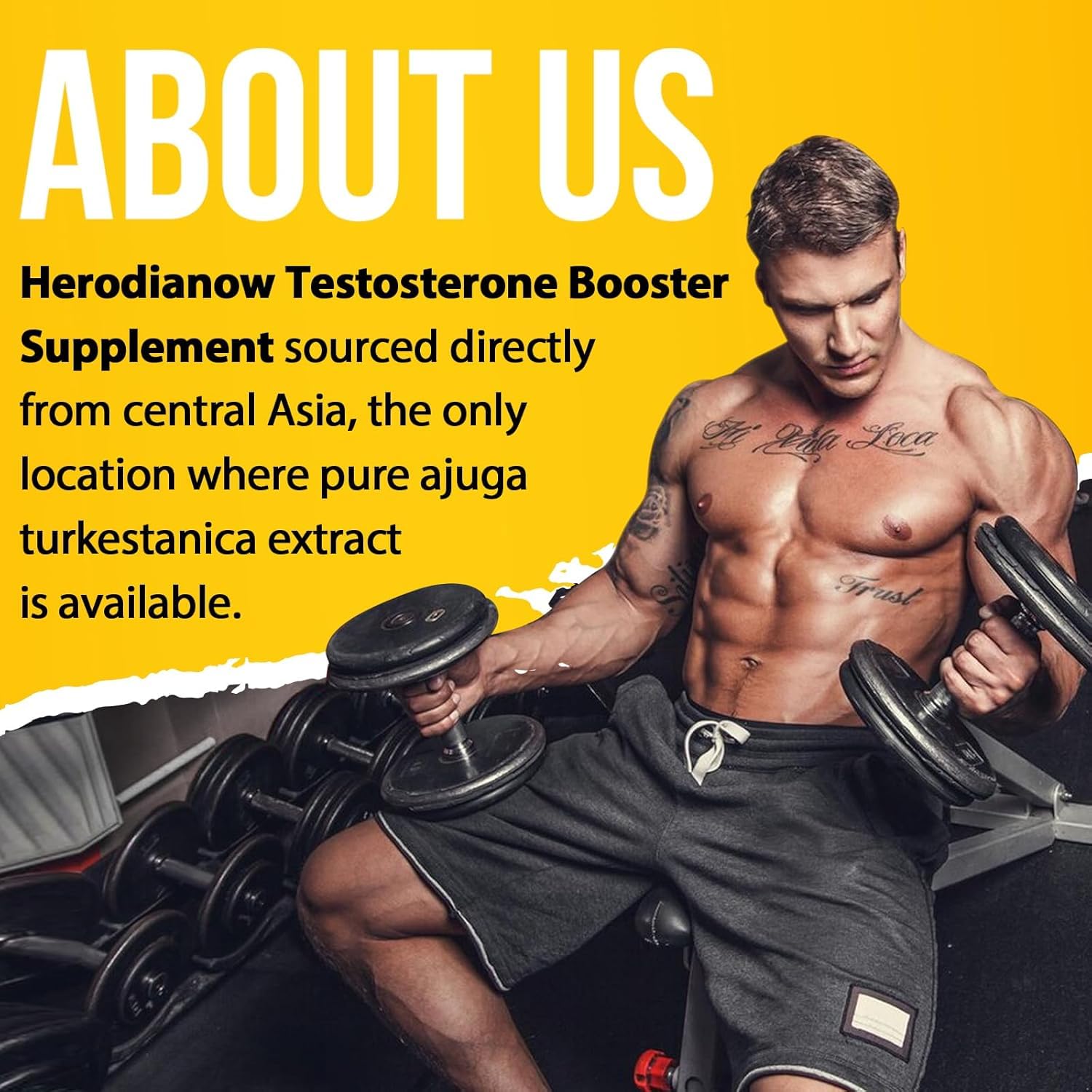 Herodianow ajuga-turkestanica-extract closeup highlights high-potency ingredient