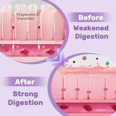 Hesperilyntis Liposomal DGL Licorice label detail reinforces trusted branding.