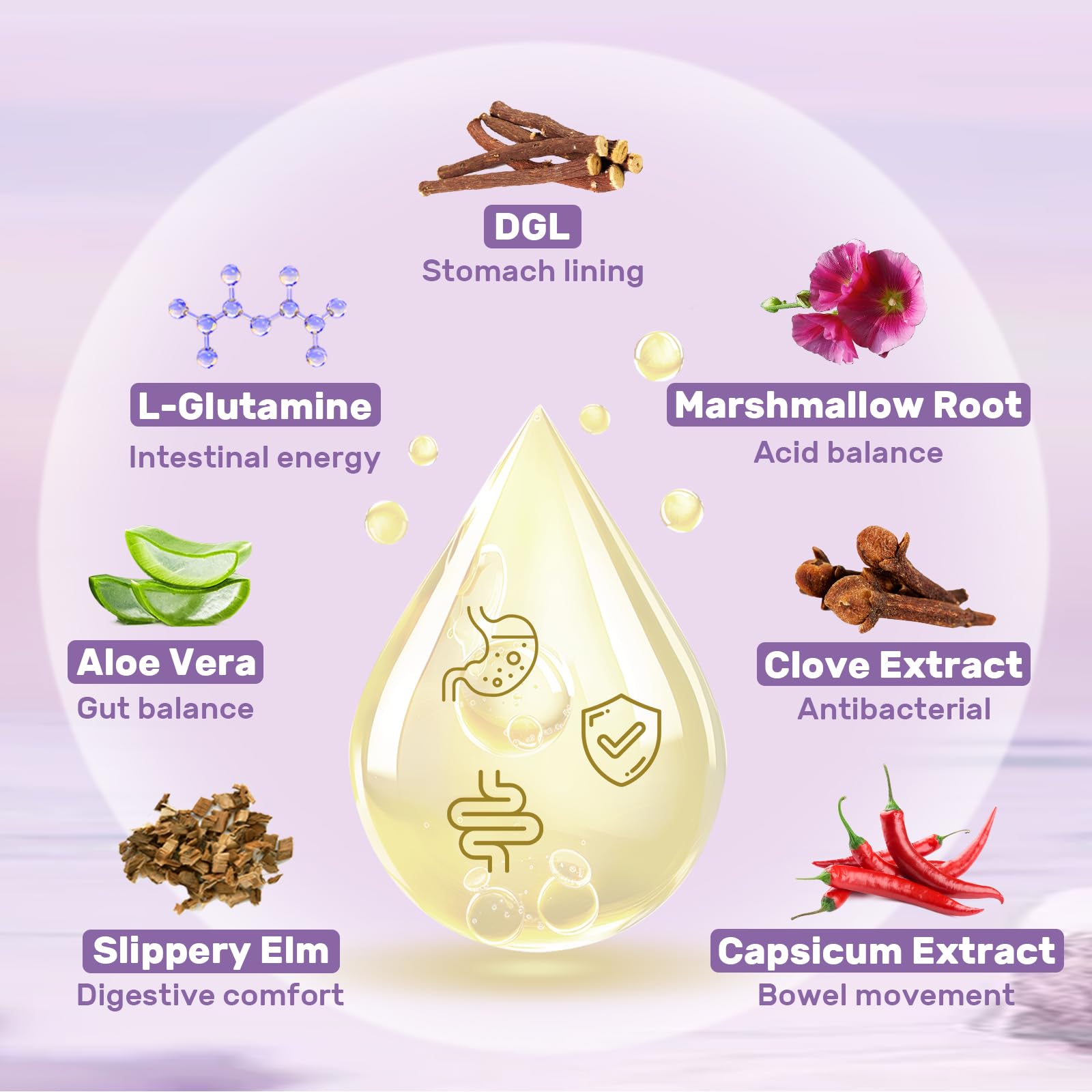 Hesperilyntis Liposomal DGL Licorice ingredients showcase the herbal blend for digestive support.