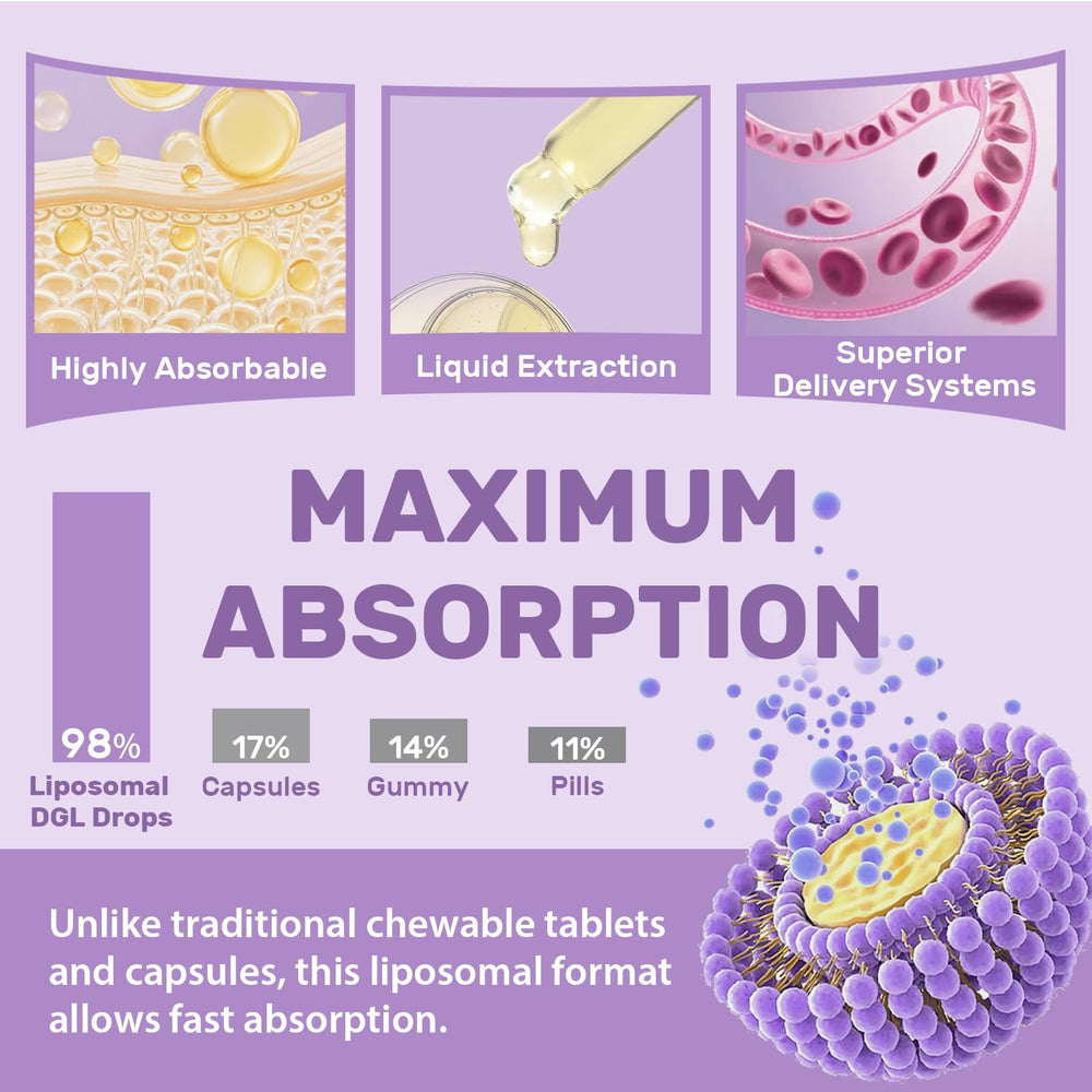 Hesperilyntis Liposomal DGL Licorice bottle label communicates quality and clear usage.