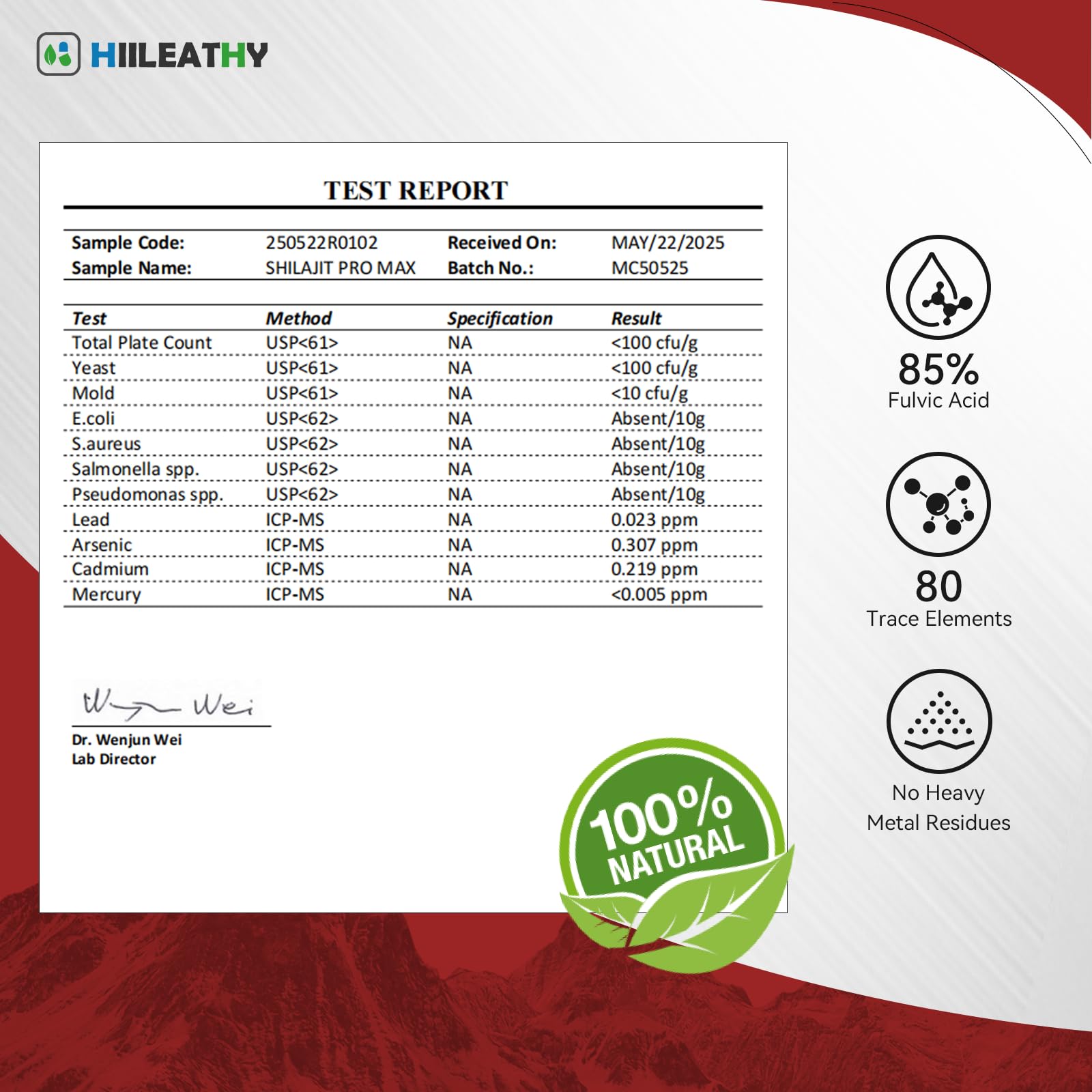 HIILEATHY Shilajit daily routine setup suggests end-of-day energy and focus.