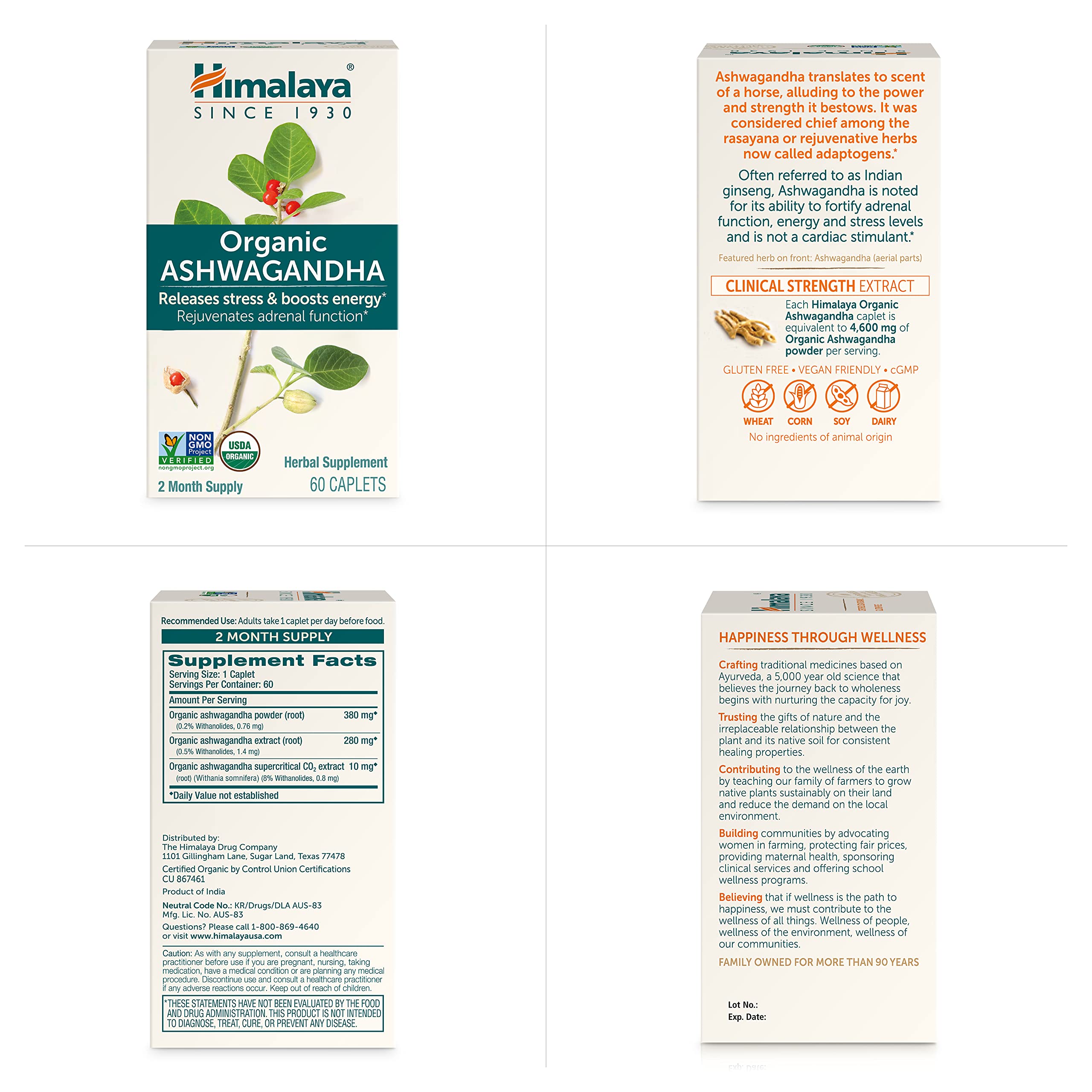 Product hero: Ashwagandha root capsules for energy and focus.