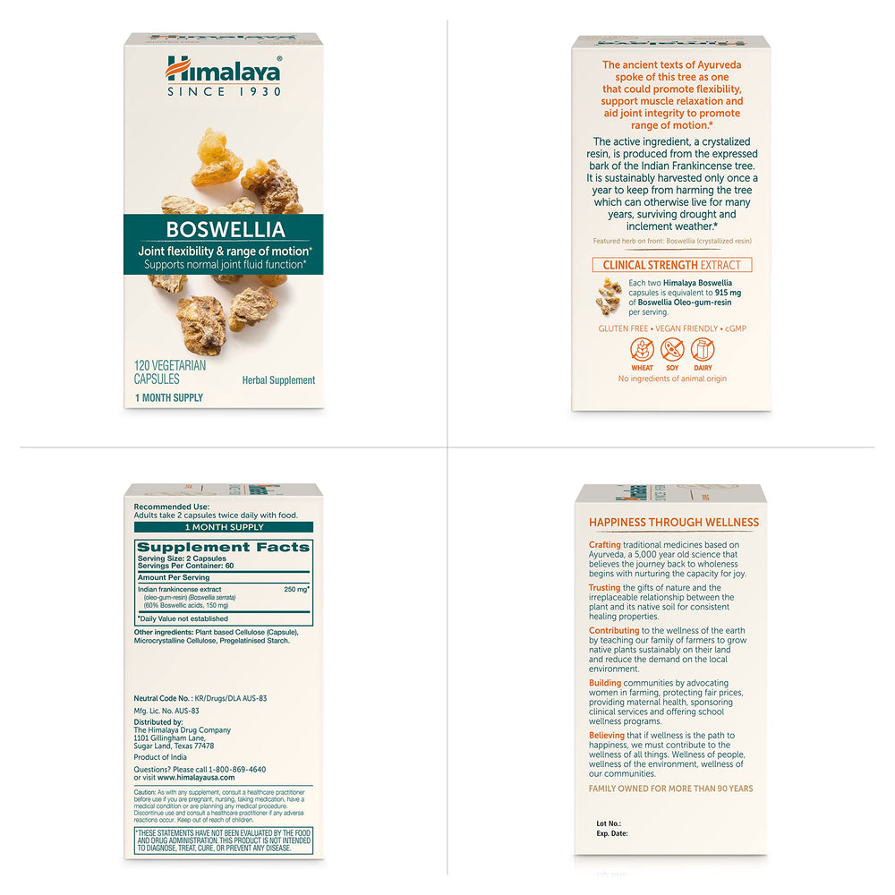 Himalaya Boswellia mobility-scene depicting flexible joints in daily life.