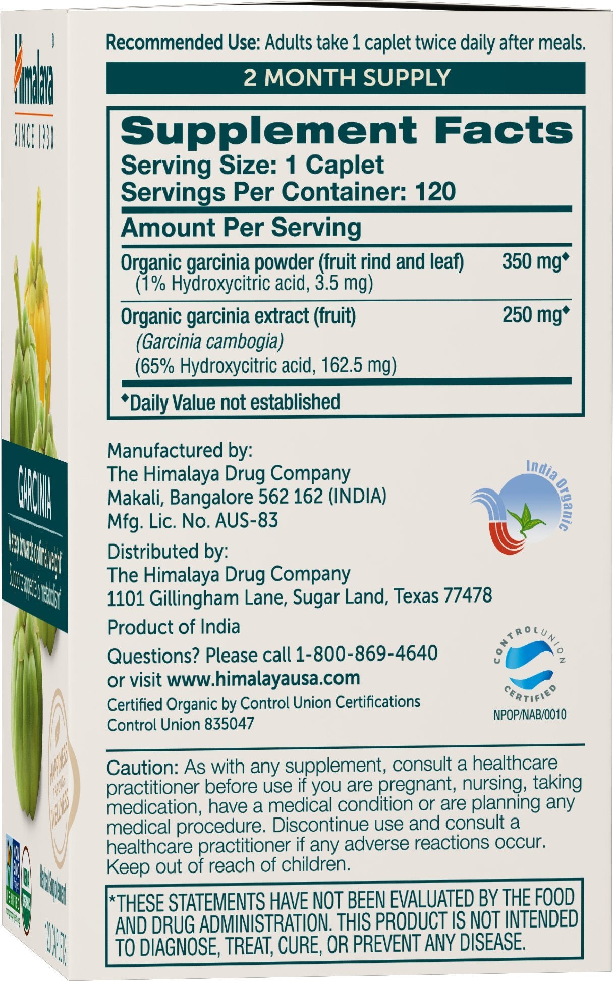 Close-up of 600 mg Garcinia Cambogia tablets emphasizing potency for metabolism support