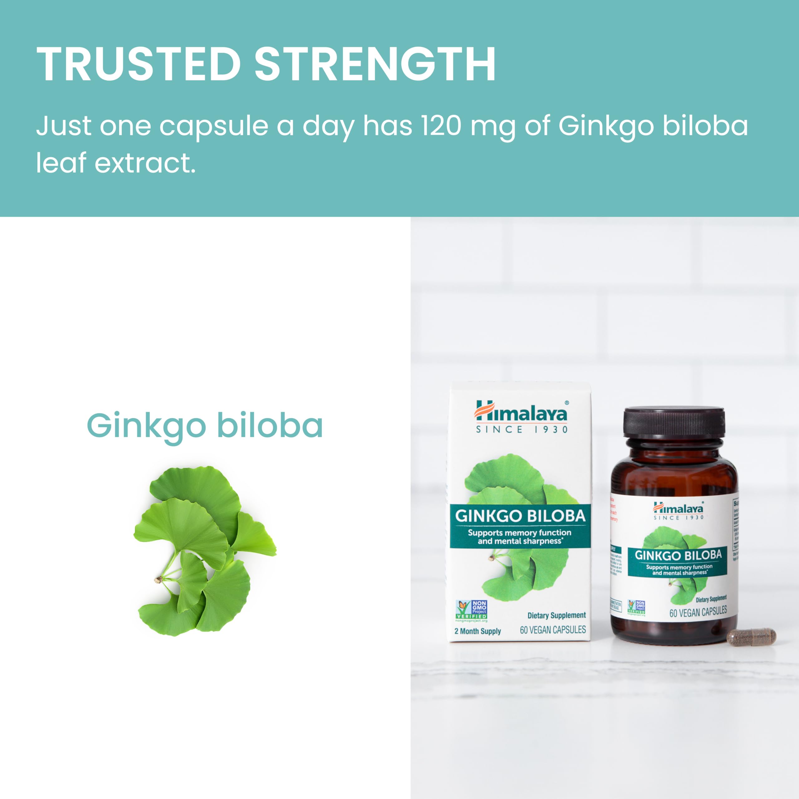 Daily use scene with Himalaya Ginkgo Biloba for focused work