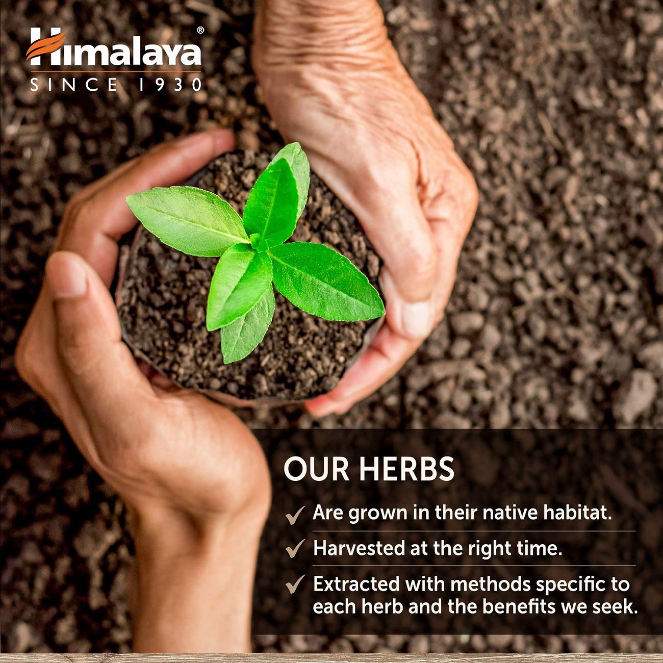 Himalaya HeartCare production in cGMP facility ensures product safety and quality.