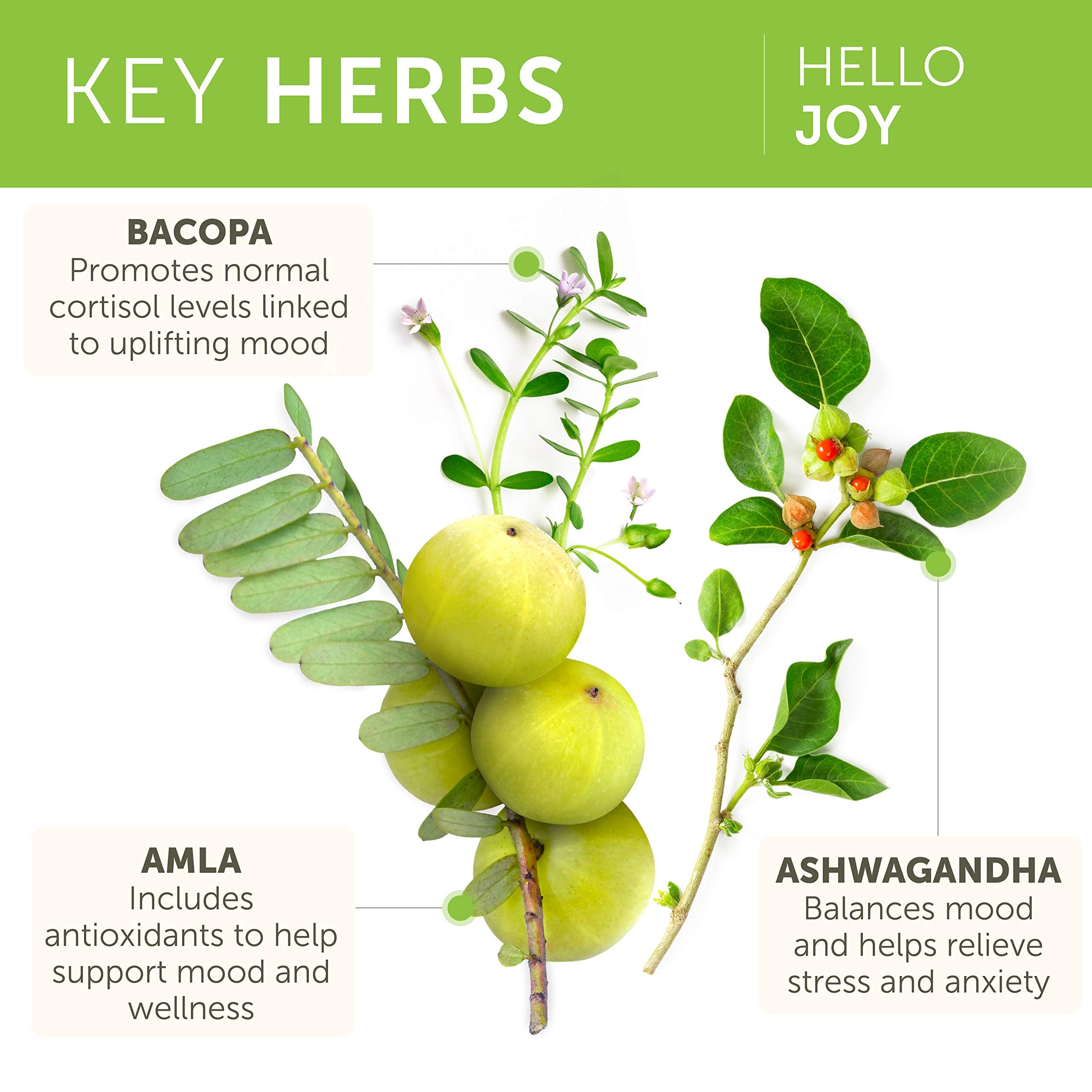 Himalaya Hello Joy label emphasizes vegan and gluten-free attributes.