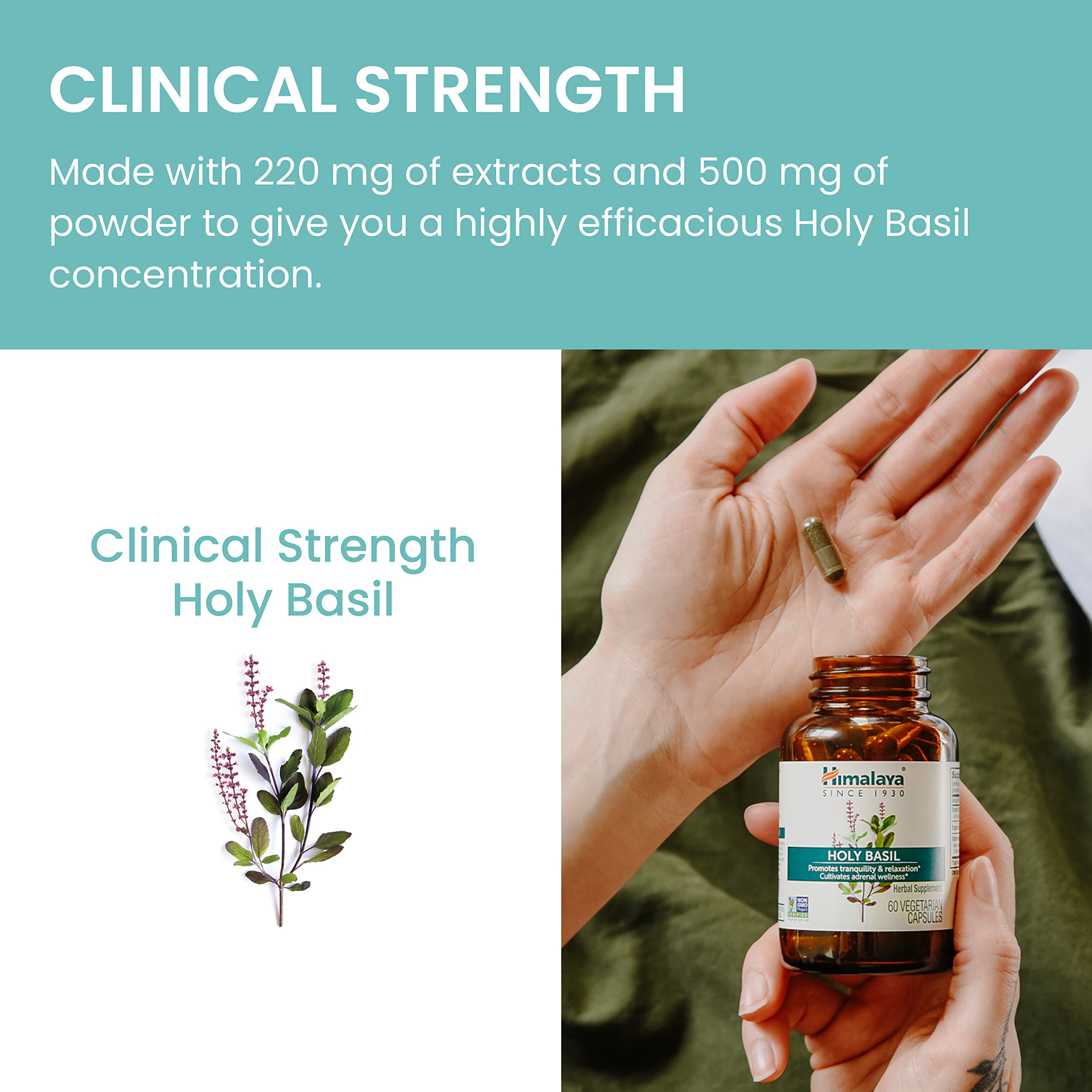 Ingredients panel lists Holy Basil extract and capsule components.