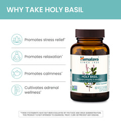 Front label highlights vegan and gluten-free features on Himalaya Holy Basil.