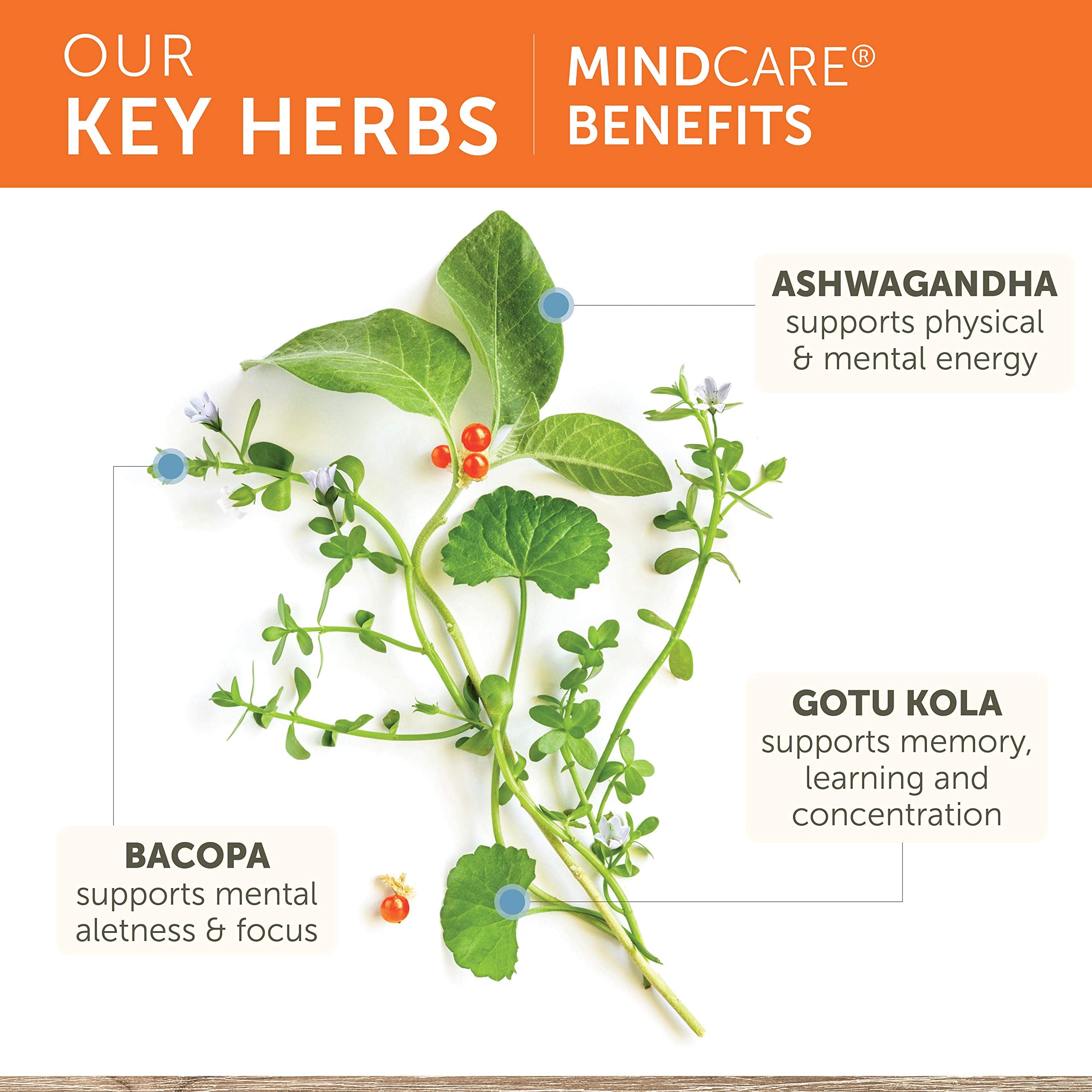 Herbal blend of Ashwagandha, Gotu Kola, Bacopa in MindCare container.