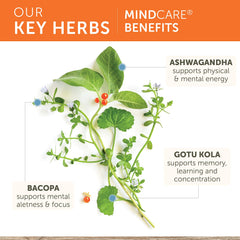 Herbal blend of Ashwagandha, Gotu Kola, Bacopa in MindCare container.