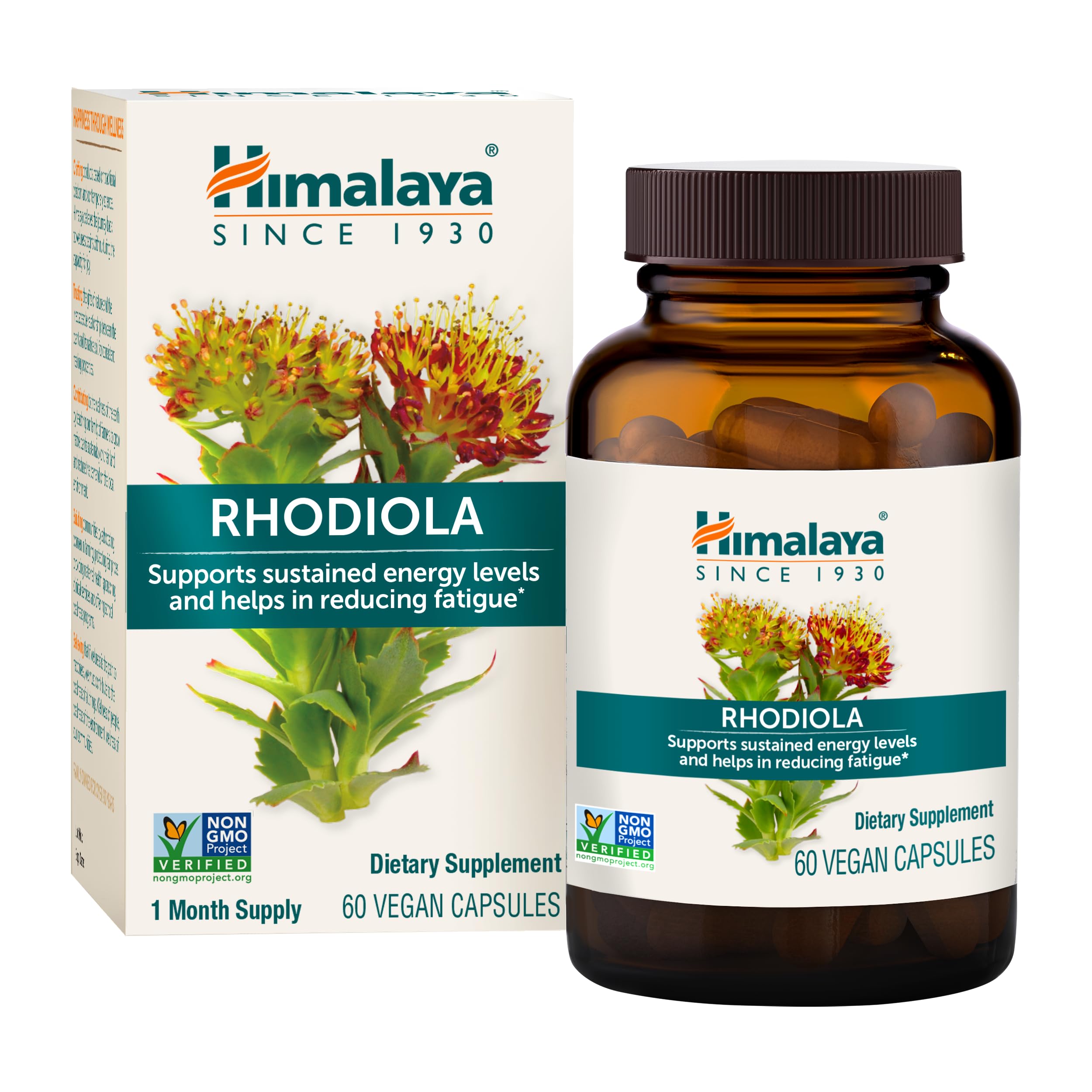 Himalaya Rhodiola Rosea capsules in a bottle for energy support.
