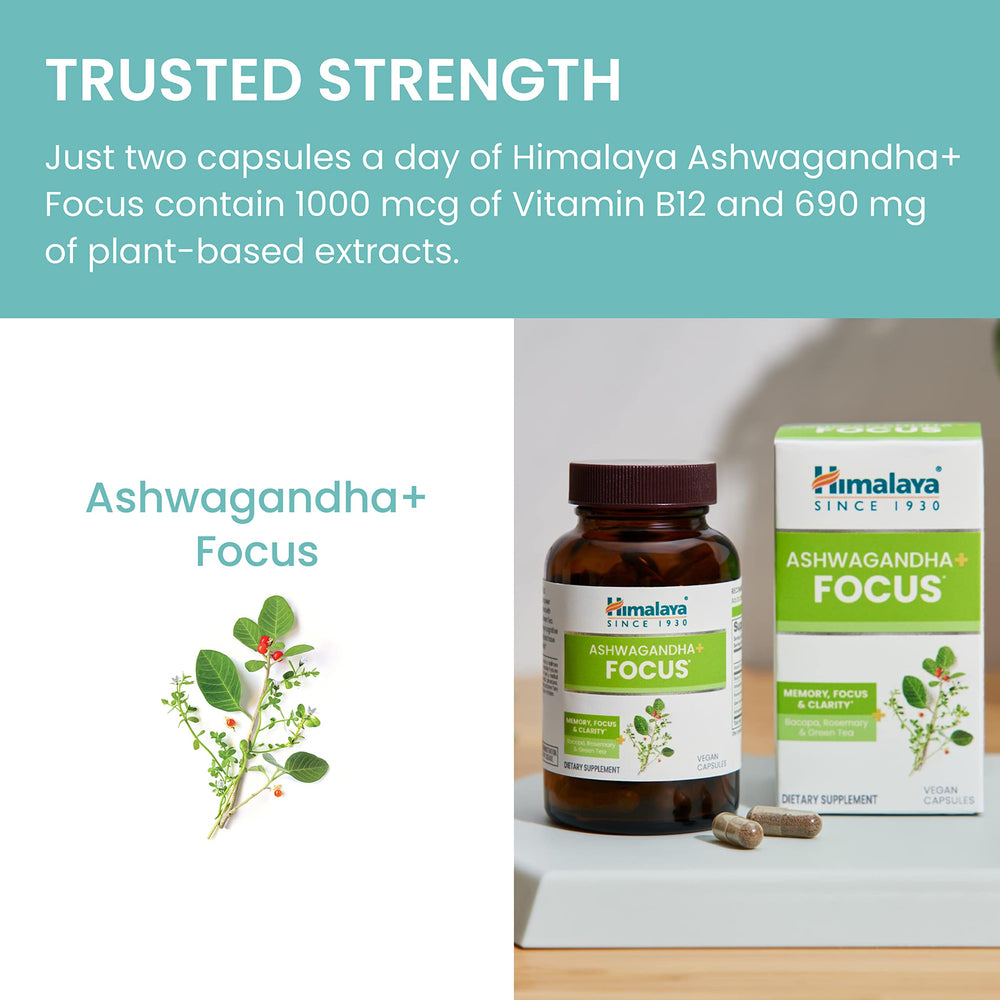 Himalaya Rosemary herb bundle evokes aroma and cognitive synergy.