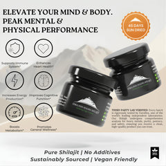 Himalayan Shilajit resin spoon dip demonstrates easy 500mg daily serving.