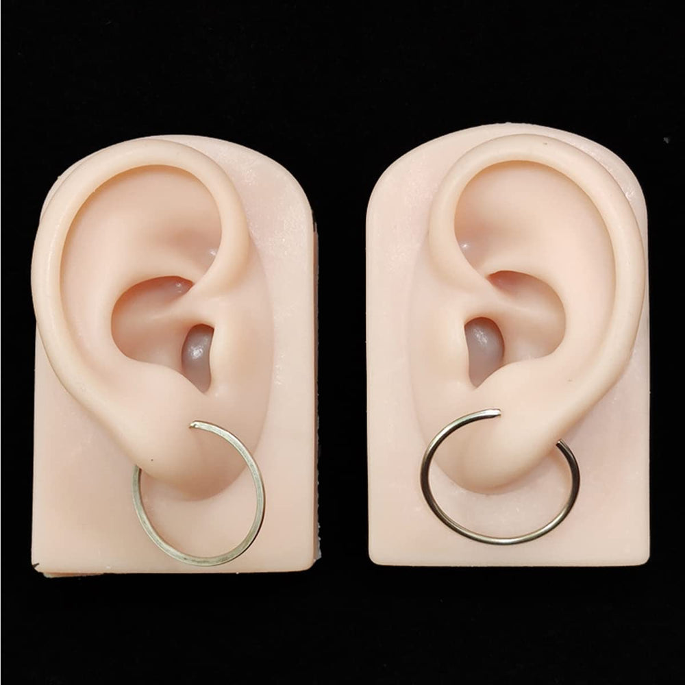 Hipifans ear model for acupuncture learning demonstrations