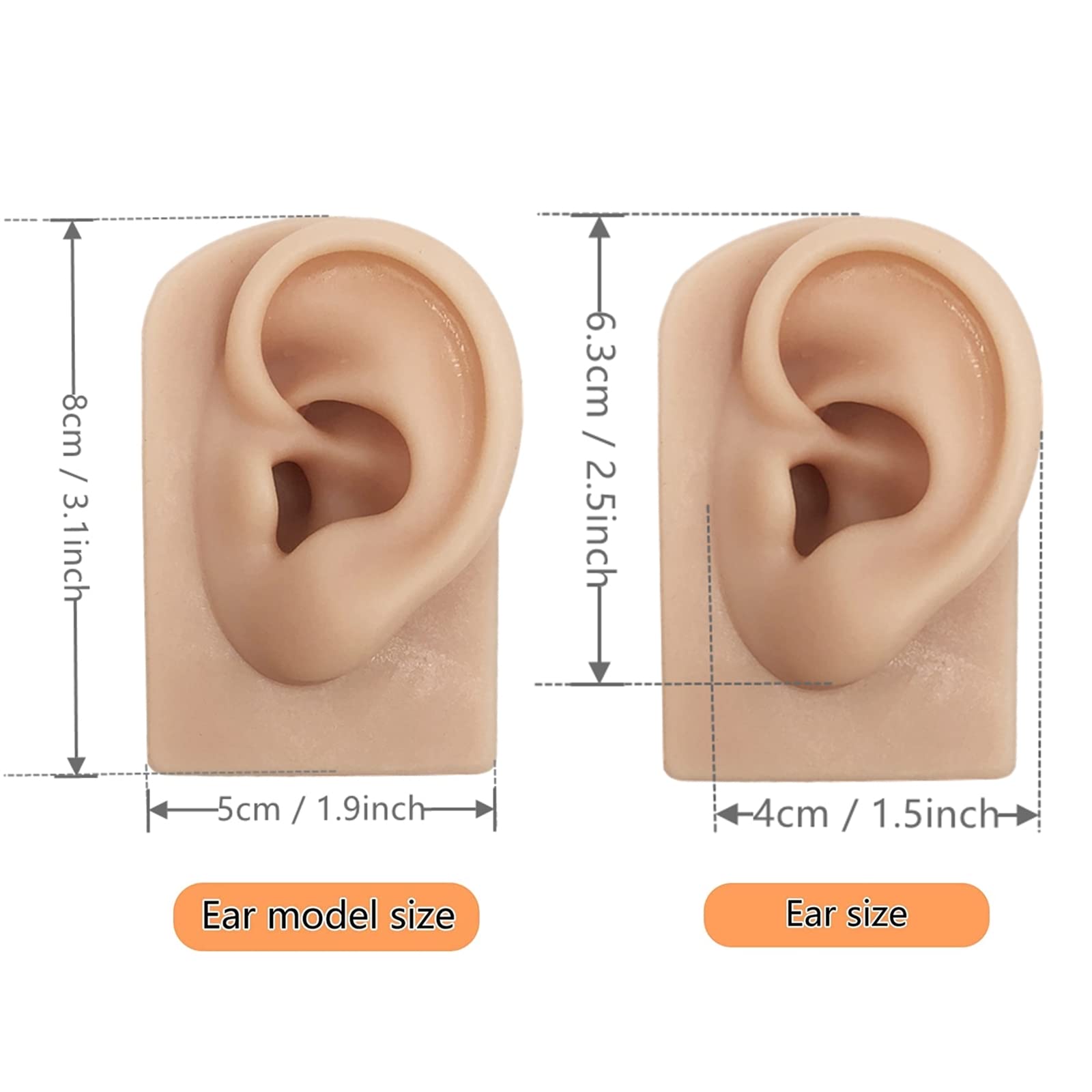 Hipifans ear model closeup skin texture for lifelike practice