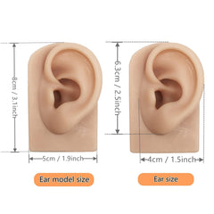 Hipifans ear model closeup skin texture for lifelike practice