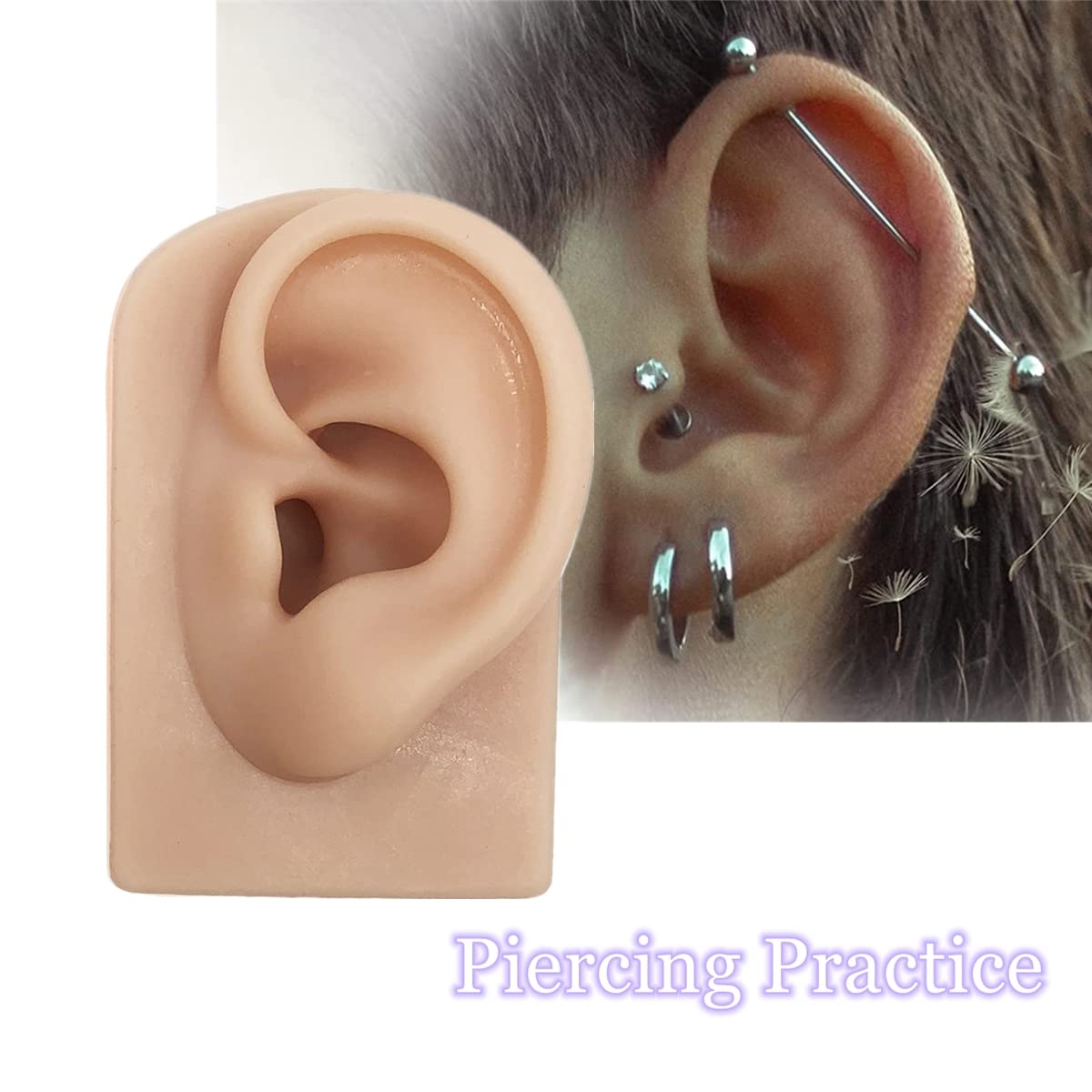 Hipifans ear model jewelry display with realistic ear structure