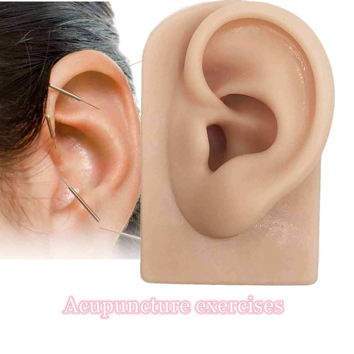 Hipifans ear model for piercing practice display and demonstration
