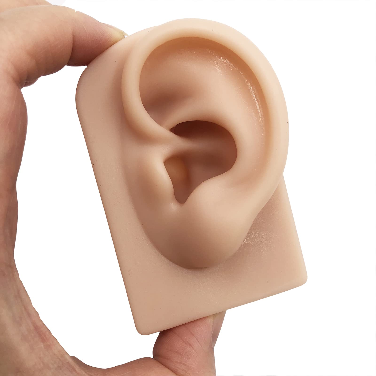 Hipifans soft silicone ear model right for piercing practice and display