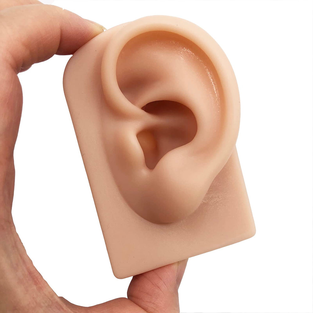 Hipifans soft silicone ear model right for piercing practice and display