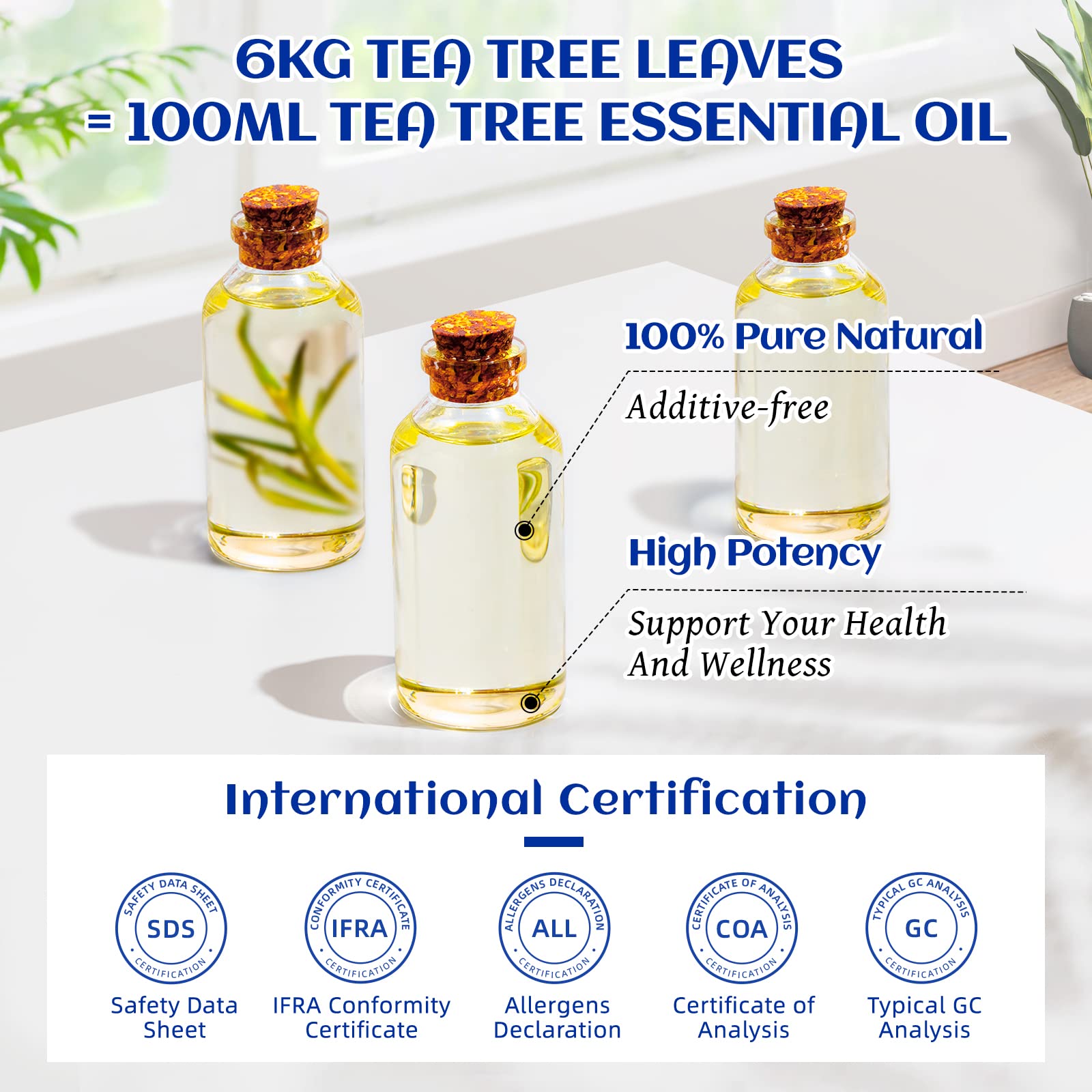 HIQILI Tea Tree Oil DIY candles setup for natural fragrance blends
