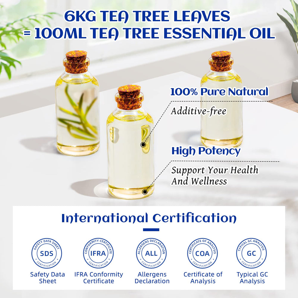 HIQILI Tea Tree Oil DIY candles setup for natural fragrance blends