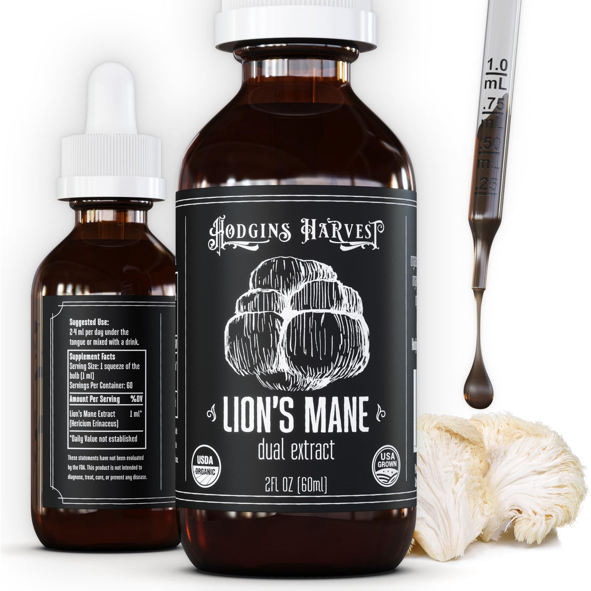 Hodgins Harvest Lion's Mane tincture bottle ready for daily focus support.