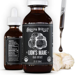Hodgins Harvest Lion's Mane tincture bottle ready for daily focus support.