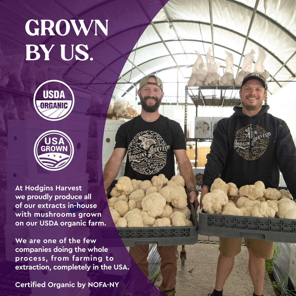 Hodgins Harvest organic turkey tail farm scene highlighting farm-made quality.