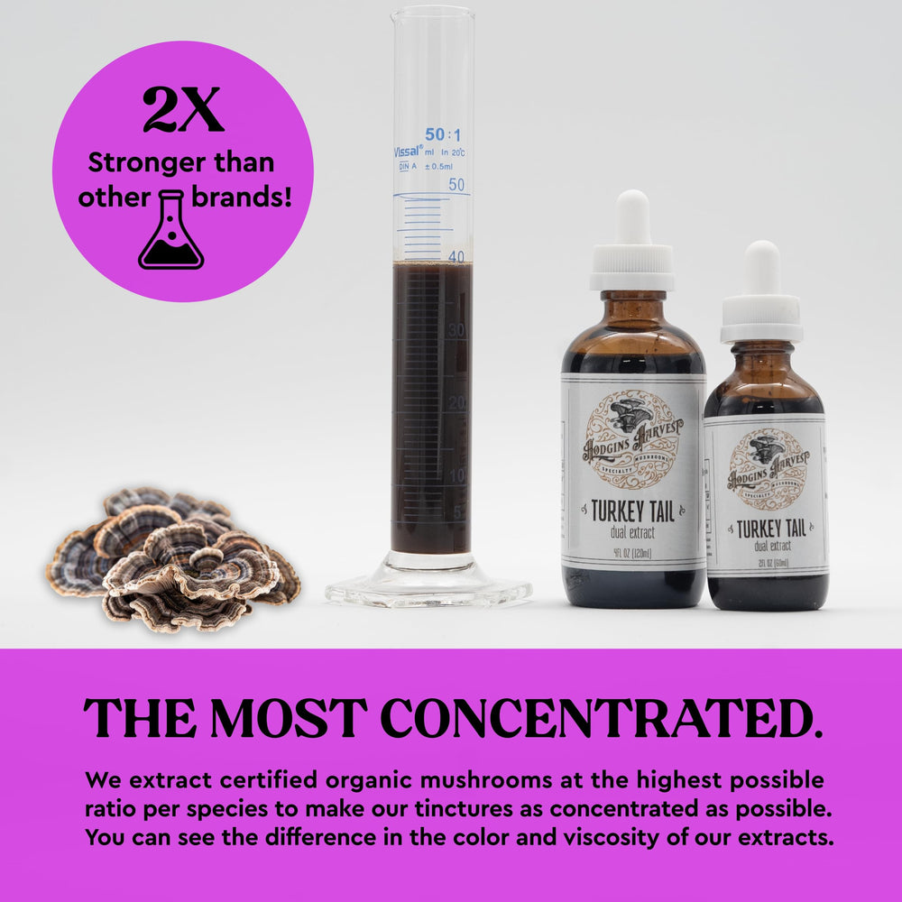 Hodgins Harvest tincture drops being poured for precise daily use.