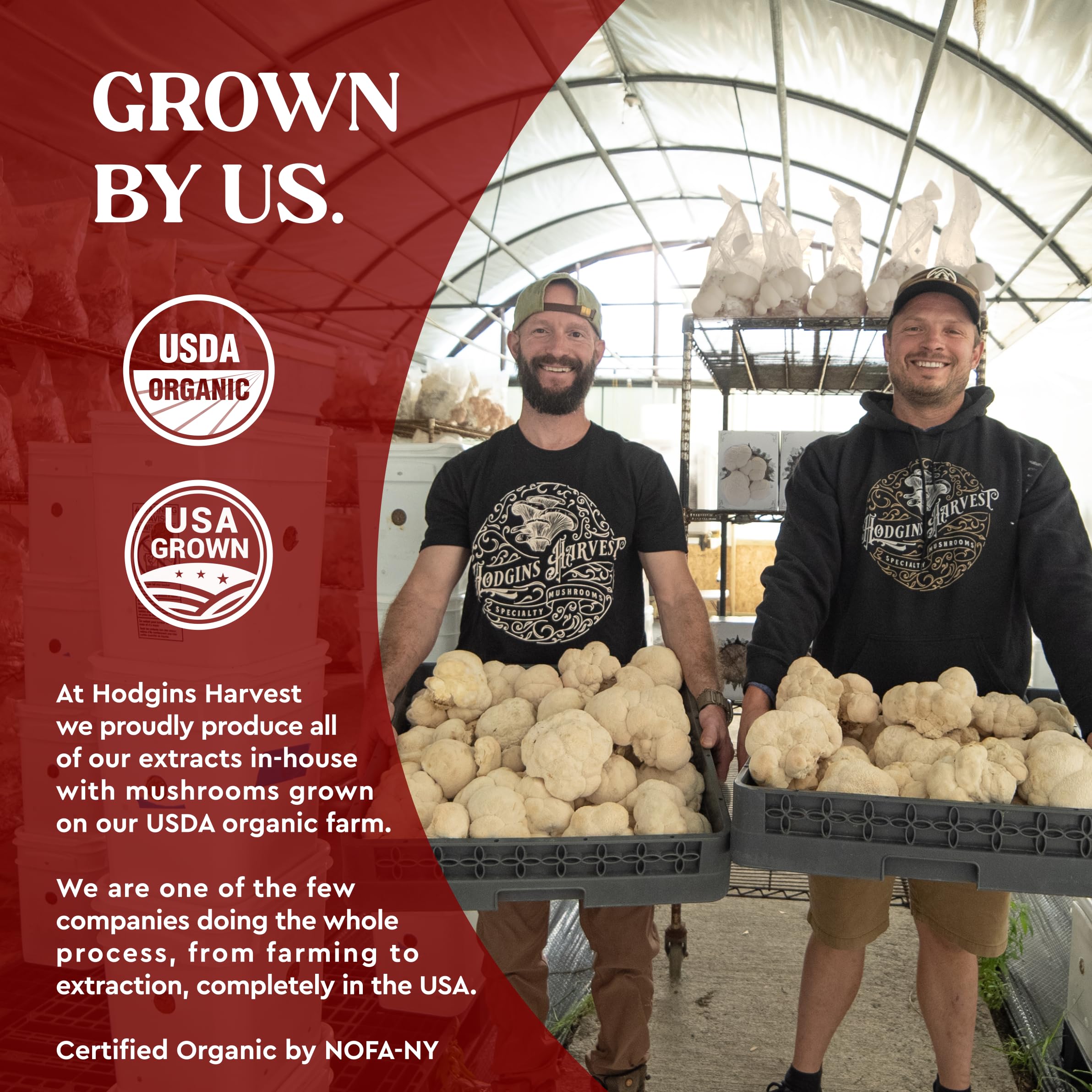 Hodgins Harvest USDA Organic seal on the label for trust