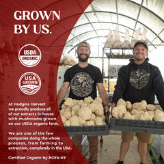 Hodgins Harvest USDA Organic seal on the label for trust