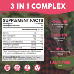 HOLLEGEND choline inositol dha gummies jar highlighting brain health nutrients