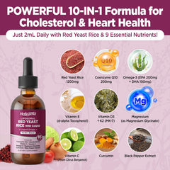 HOLLEGEND ubiquinol CoQ10 liquid drops emphasizing antioxidant support and metabolism