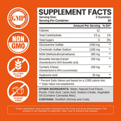 HOLLEGEND Glucosamine Chondroitin Gummies bottle-front showcasing sugar-free formula