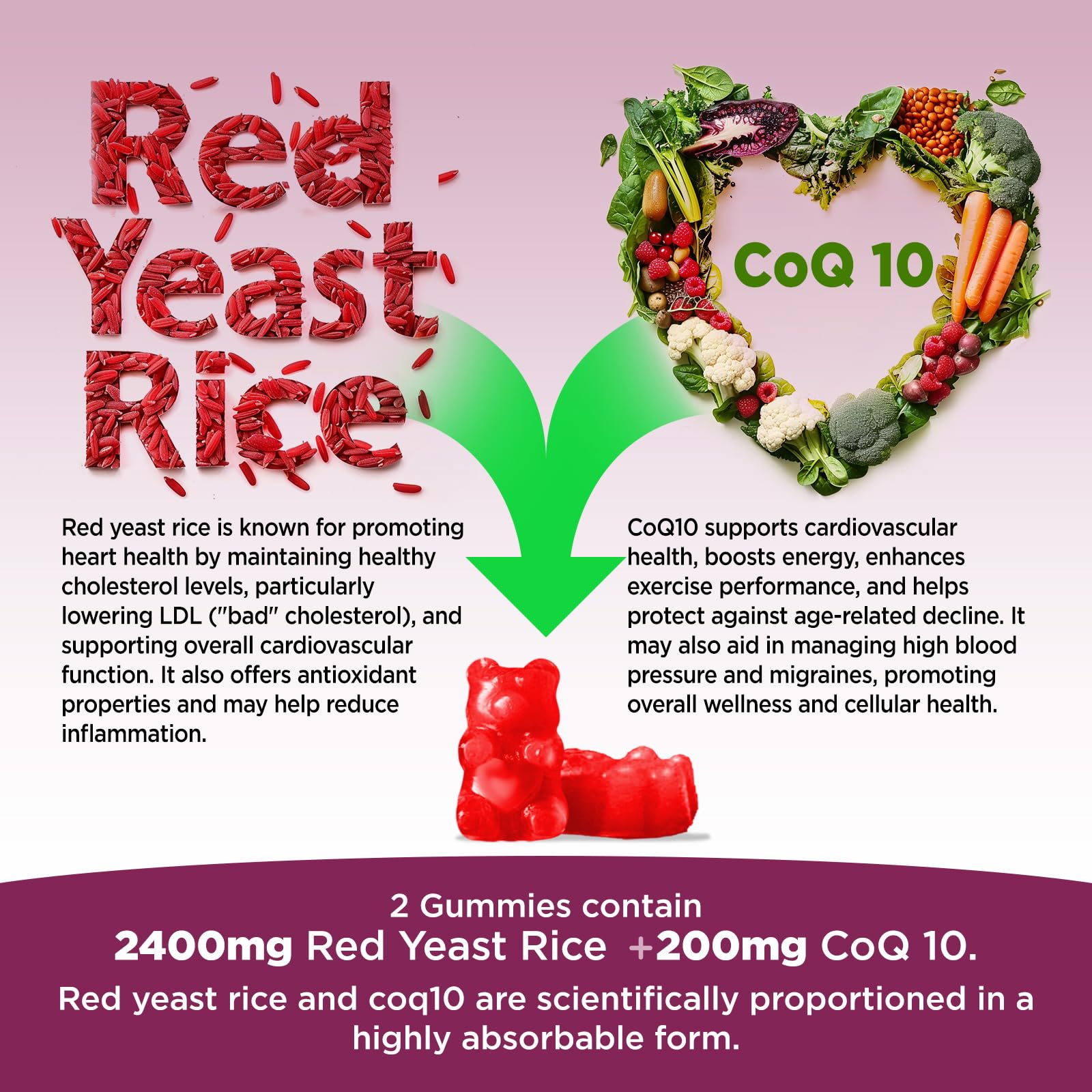 Organic red yeast rice label and vegan ingredients on HOLLEGEND bottle
