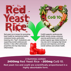 Organic red yeast rice label and vegan ingredients on HOLLEGEND bottle