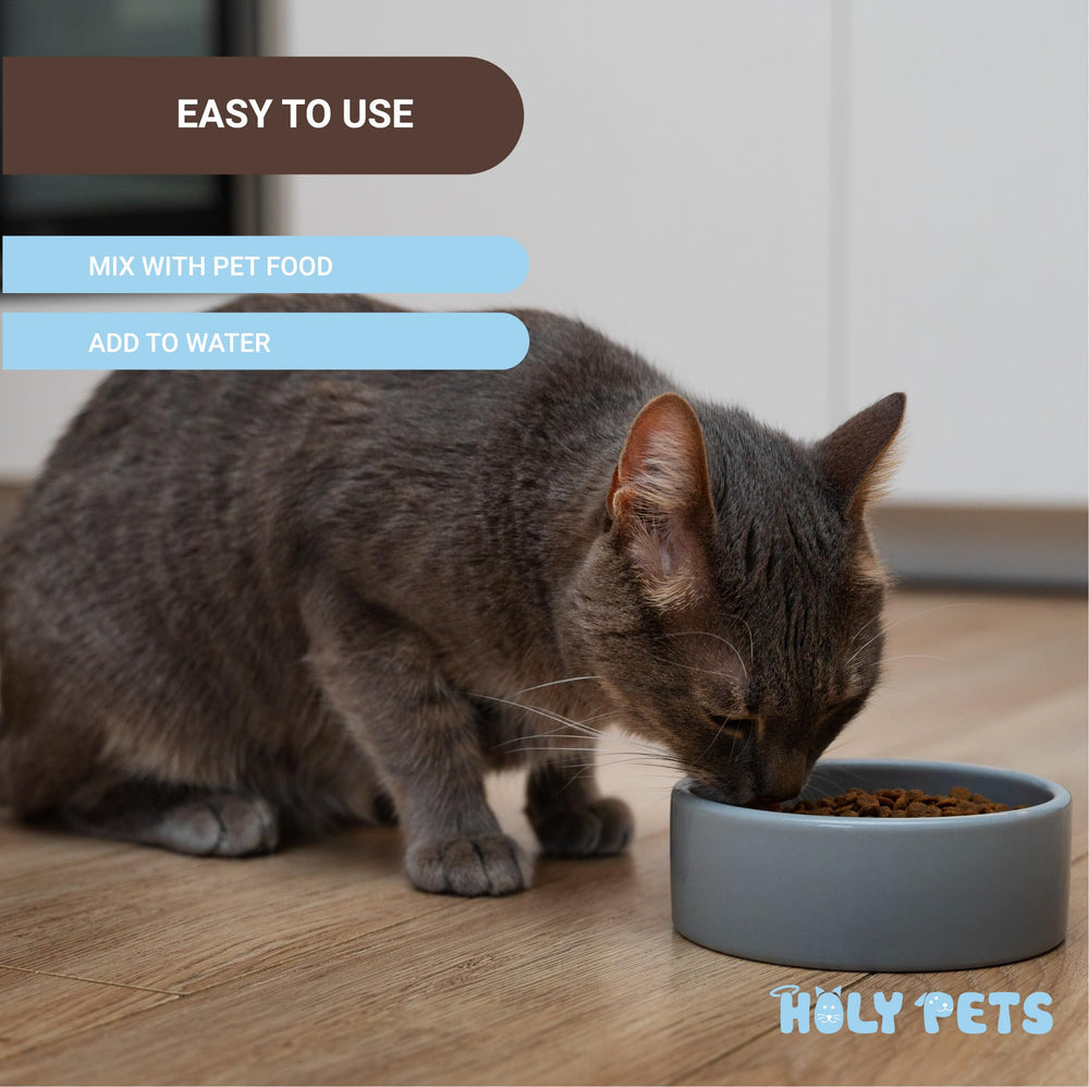 Holy Pets L-Lysine powder 250g container provides long-lasting supply.