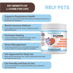 Holy Pets L-Lysine powder scoop shows precise 1,000 mg dosing.