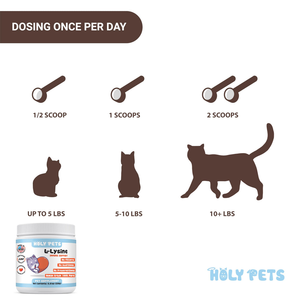 Holy Pets L-Lysine powder blended into treat paste for cats.