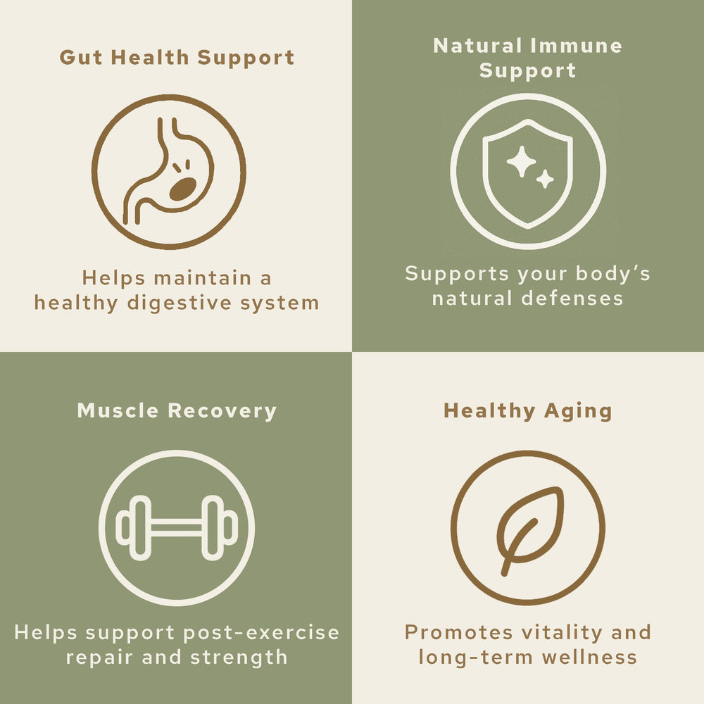 HONOR Supplements Colostrum Powder daily-use simple addition to shakes