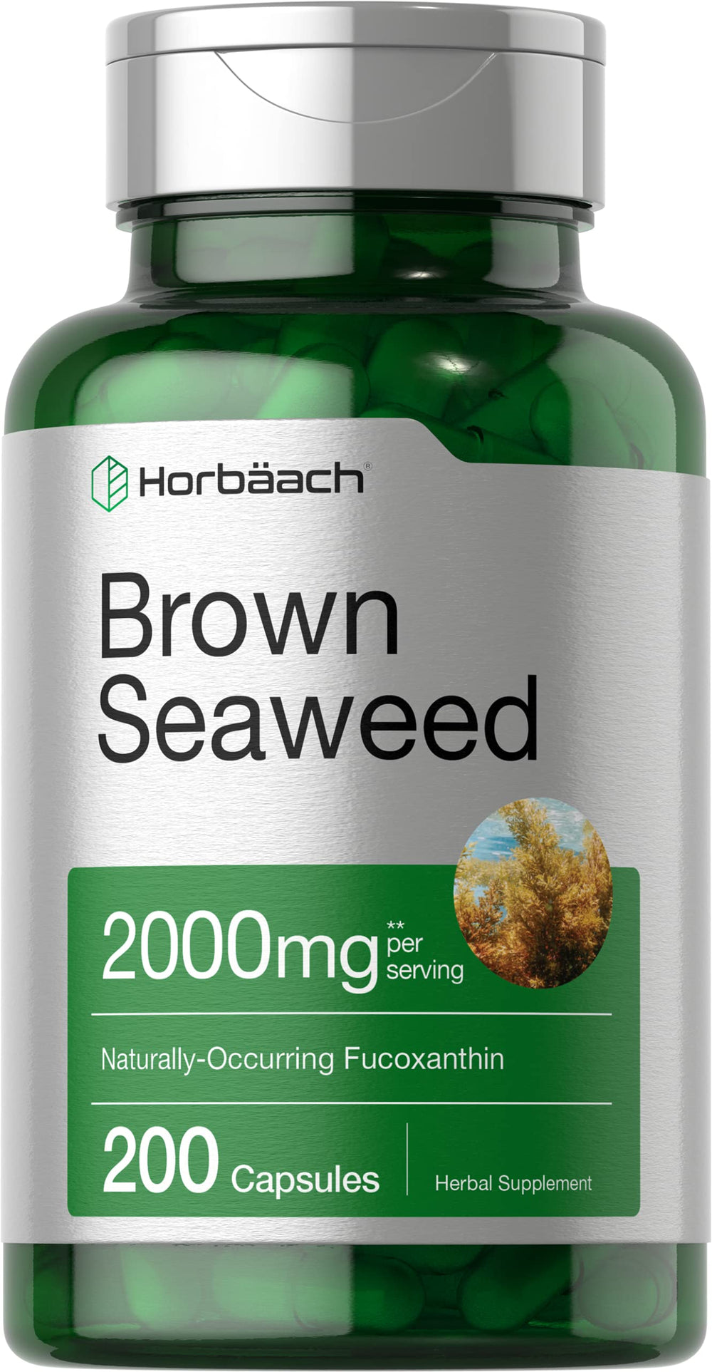 Horbäach Brown Seaweed Extract Capsules bottle for daily antioxidant support.