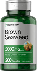 Horbäach Brown Seaweed Extract Capsules bottle for daily antioxidant support.