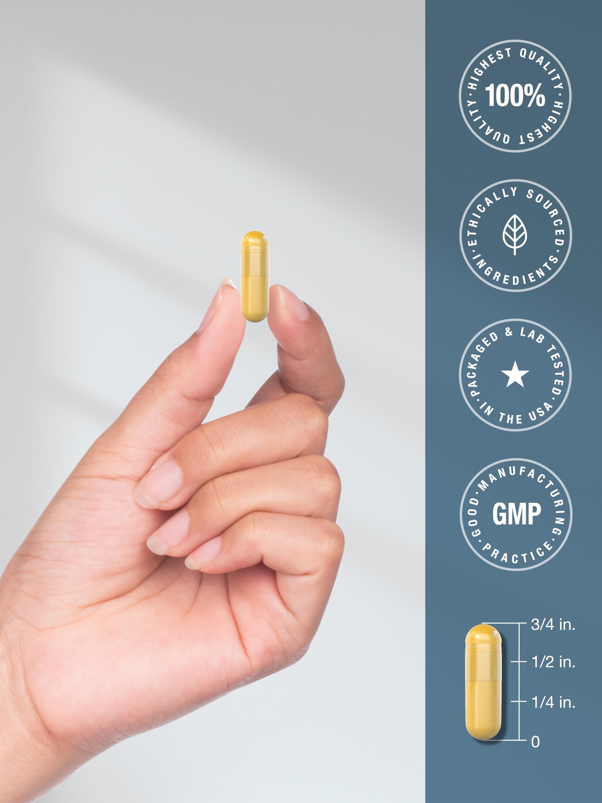 Lifestyle shot showing Horbäach Ox Bile capsules integrated into daily routine.