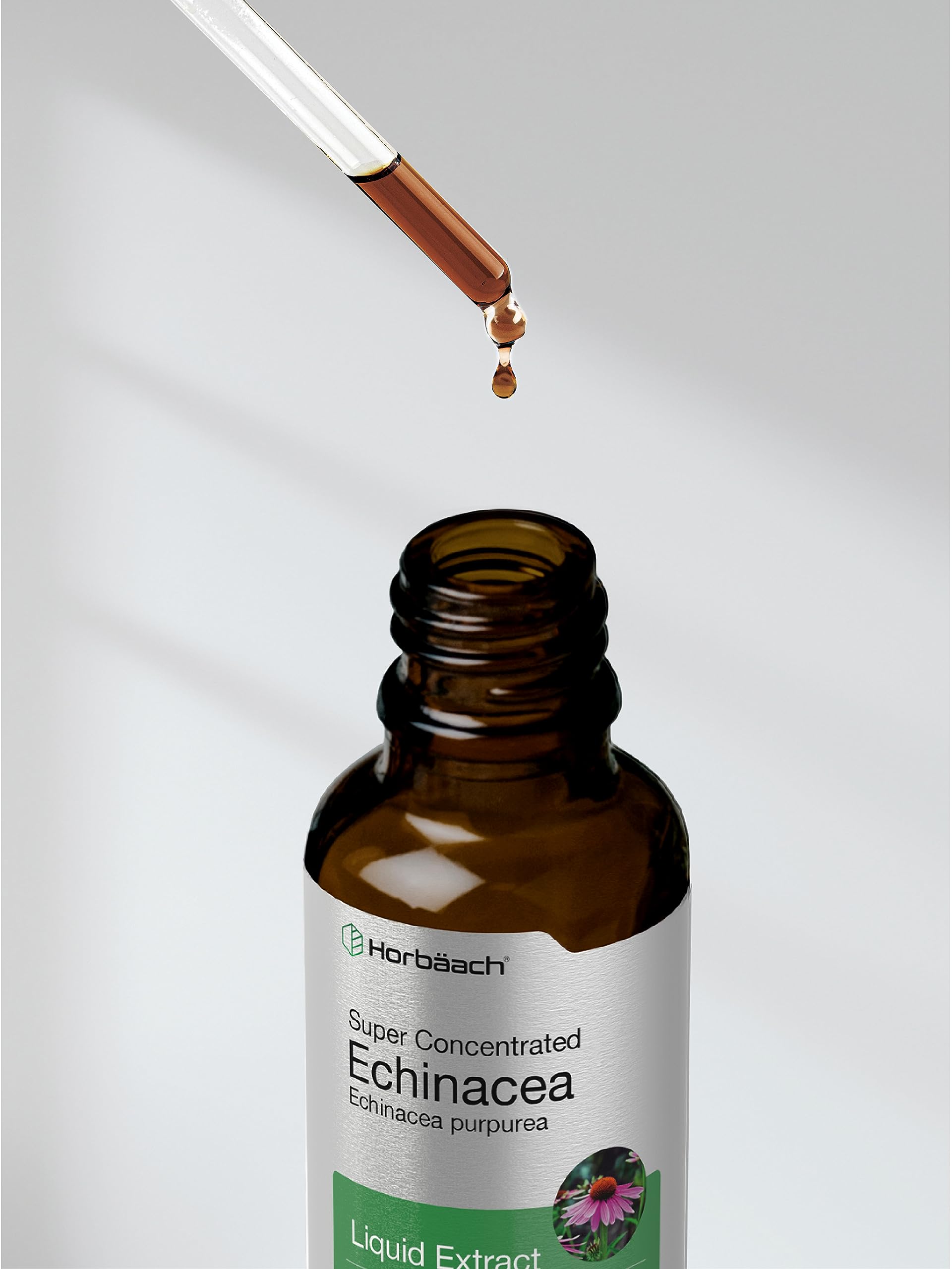 Horbaach Echinacea Drops bottle with dropper cap for precise dosing.