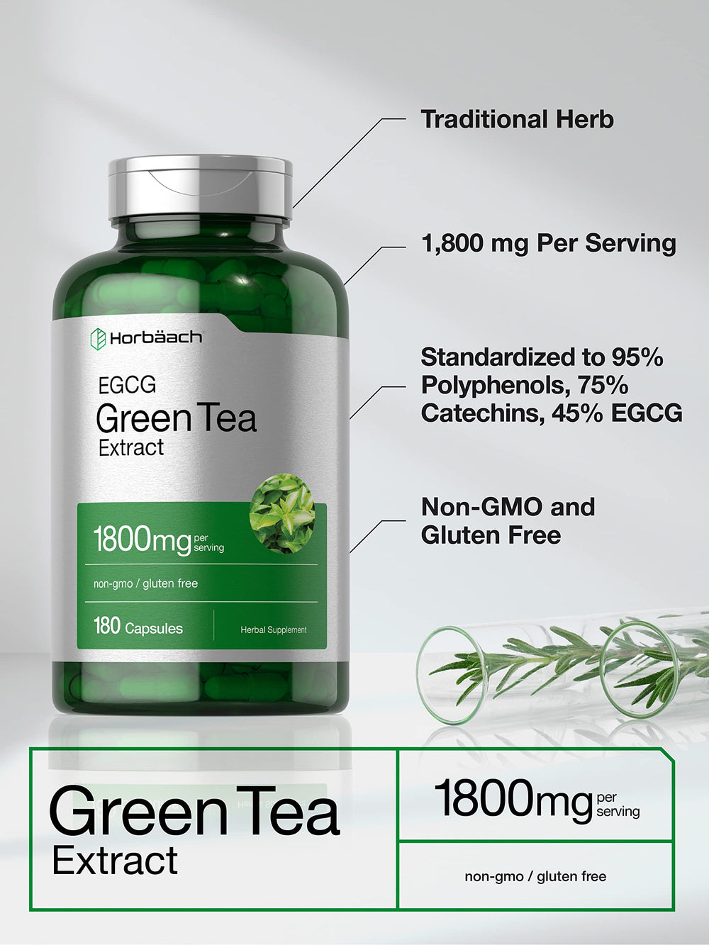 Close-up of Horbaach EGCG label showing standardized polyphenols and EGCG content.